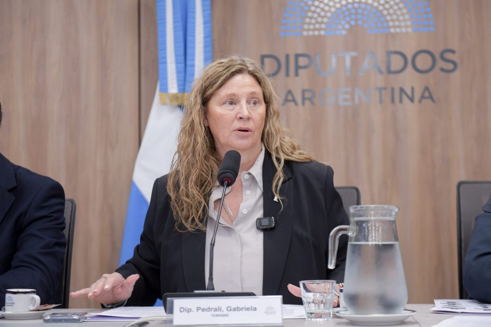 La Comisión de Turismo abordó la situación del sector