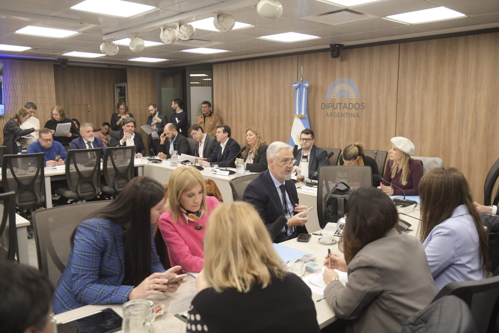 La Comisión de Turismo abordó la situación del sector (foto 5)