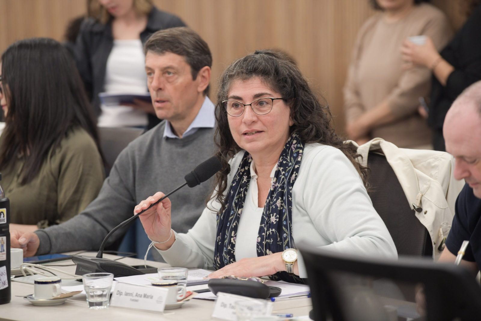 La Comisión de Turismo abordó la situación del sector (foto 2)