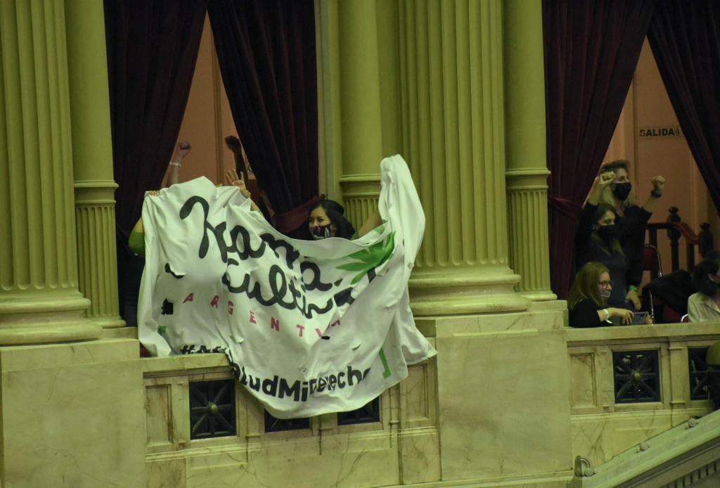Sesión Especial en el Congreso de la Nación (foto 3)
