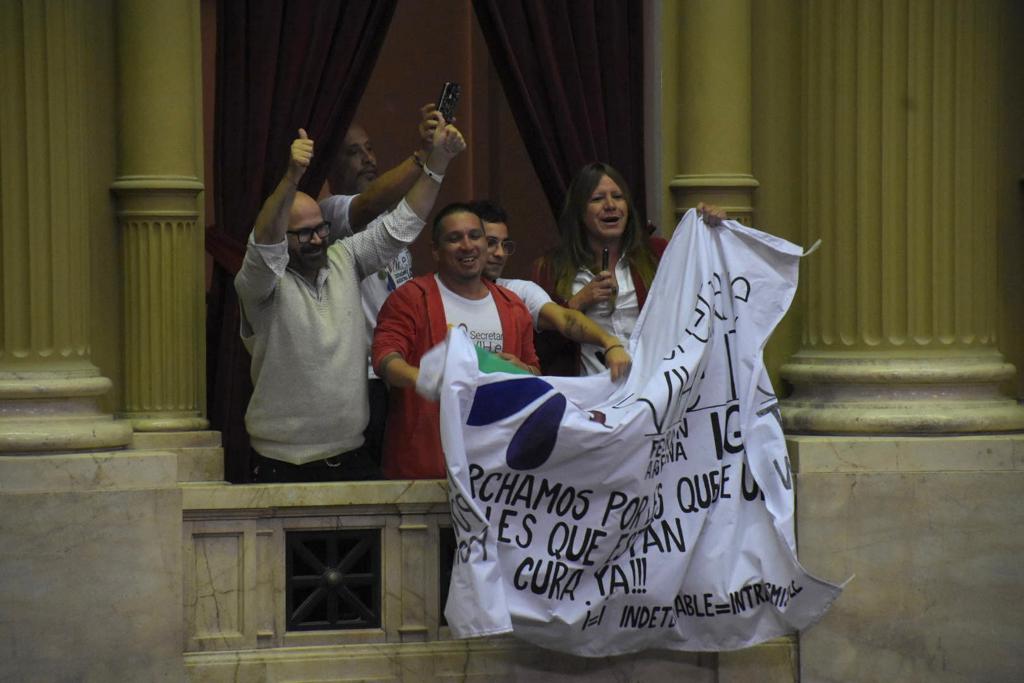 Sesión Especial en el Congreso de la Nación (foto 6)