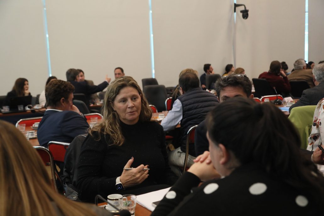 Avanza el tratamiento del proyecto de Ley de Presupuesto 2023 en la Comisión de Presupuesto y Hacienda (foto 2)