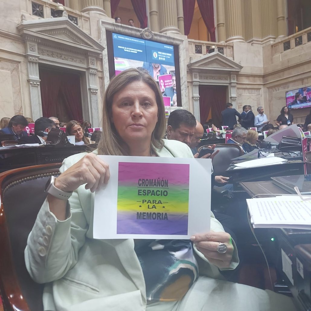 Sesión Especial en Diputados con extenso temario (foto 3)