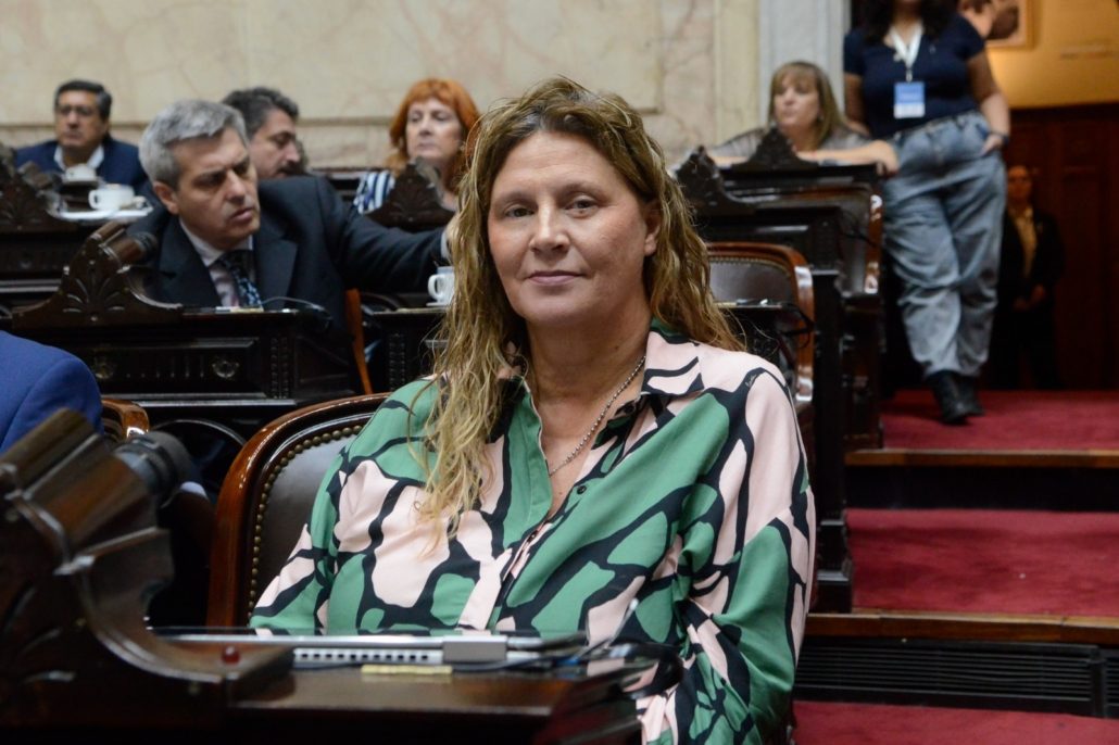 La Diputada Gabriela Pedrali valoró la media sanción al proyecto de ley que crea el «MonoTech» (foto 3)