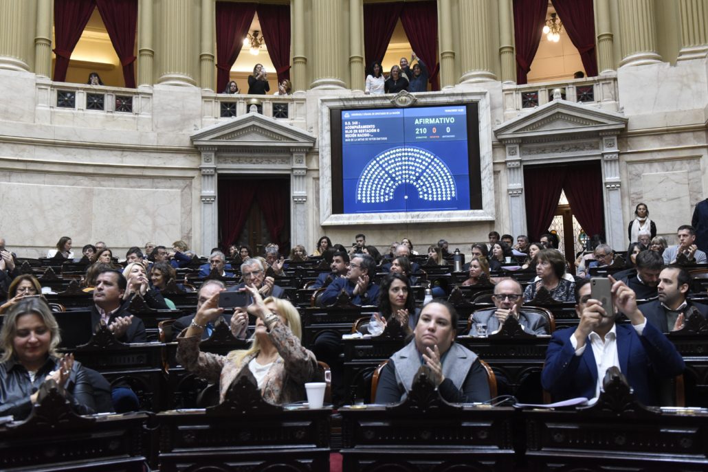 Gabriela Pedrali valoró la aprobación de una serie de proyectos de ley que reconocen y amplían derechos (foto 3)