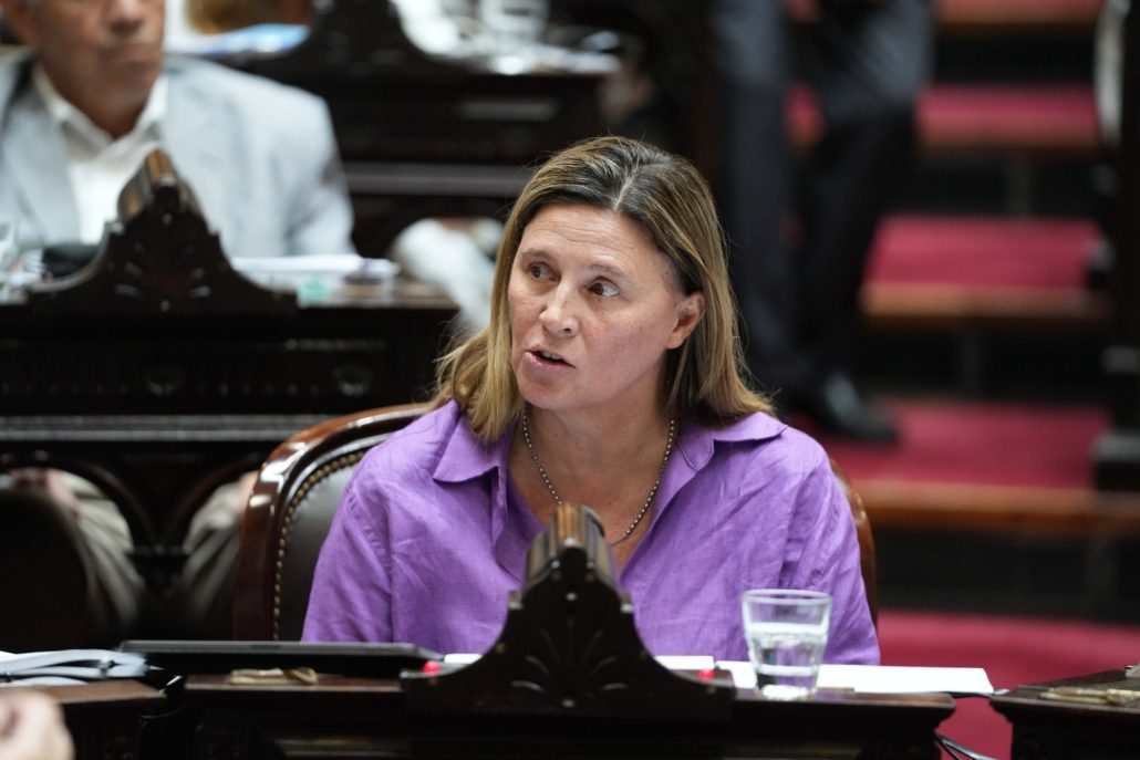Rechazo total a la Ley Ómnibus, destructiva para la Patria, para la democracia y el federalismo