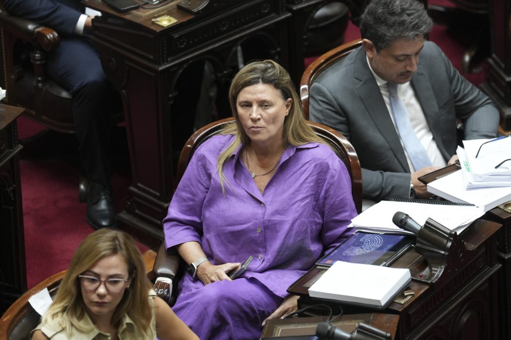 Rechazo total a la Ley Ómnibus, destructiva para la Patria, para la democracia y el federalismo (foto 2)