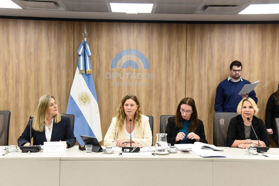 La diputada nacional por La Rioja, Gabriela Pedrali, fue designada Presidenta de la comisión de Turismo en la Honorable Cámara de Diputados de la Nación.
