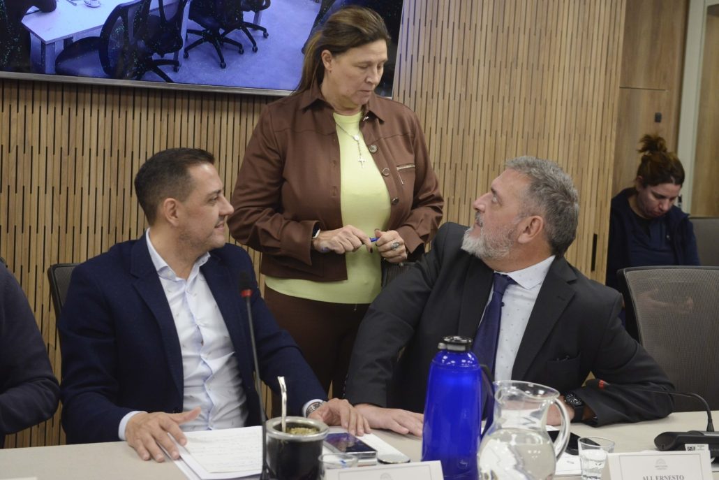 Inició el debate del proyecto de ley sobre Turismo Termal en la Comisión de Turismo de la Cámara Baja (foto 3)