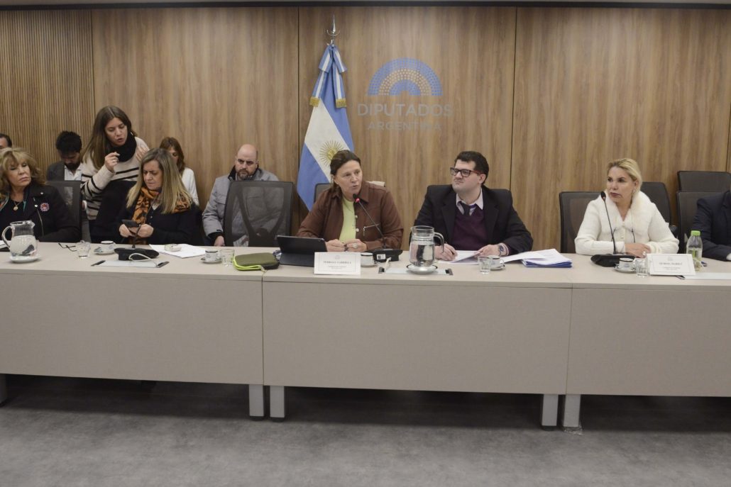 Inició el debate del proyecto de ley sobre Turismo Termal en la Comisión de Turismo de la Cámara Baja