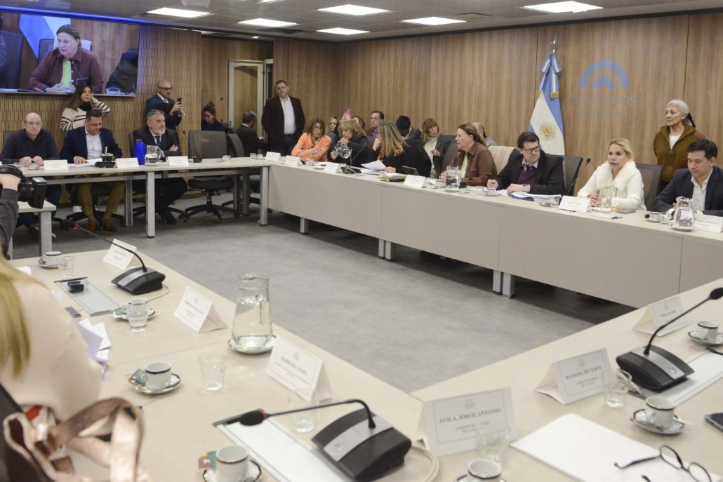 Inició el debate del proyecto de ley sobre Turismo Termal en la Comisión de Turismo de la Cámara Baja (foto 2)