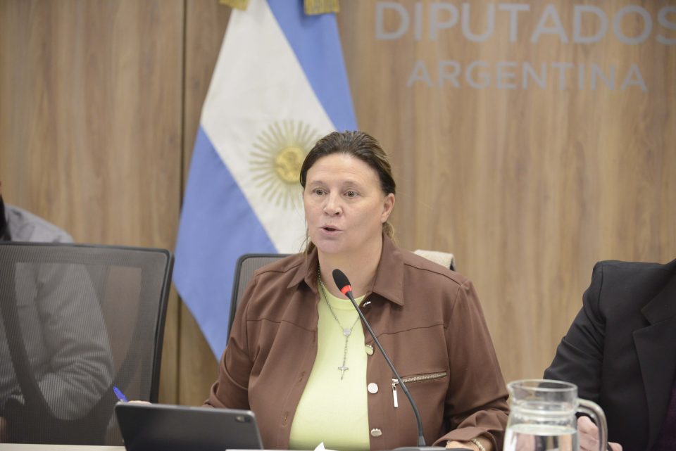 Inició el debate del proyecto de ley sobre Turismo Termal en la Comisión de Turismo de la Cámara Baja