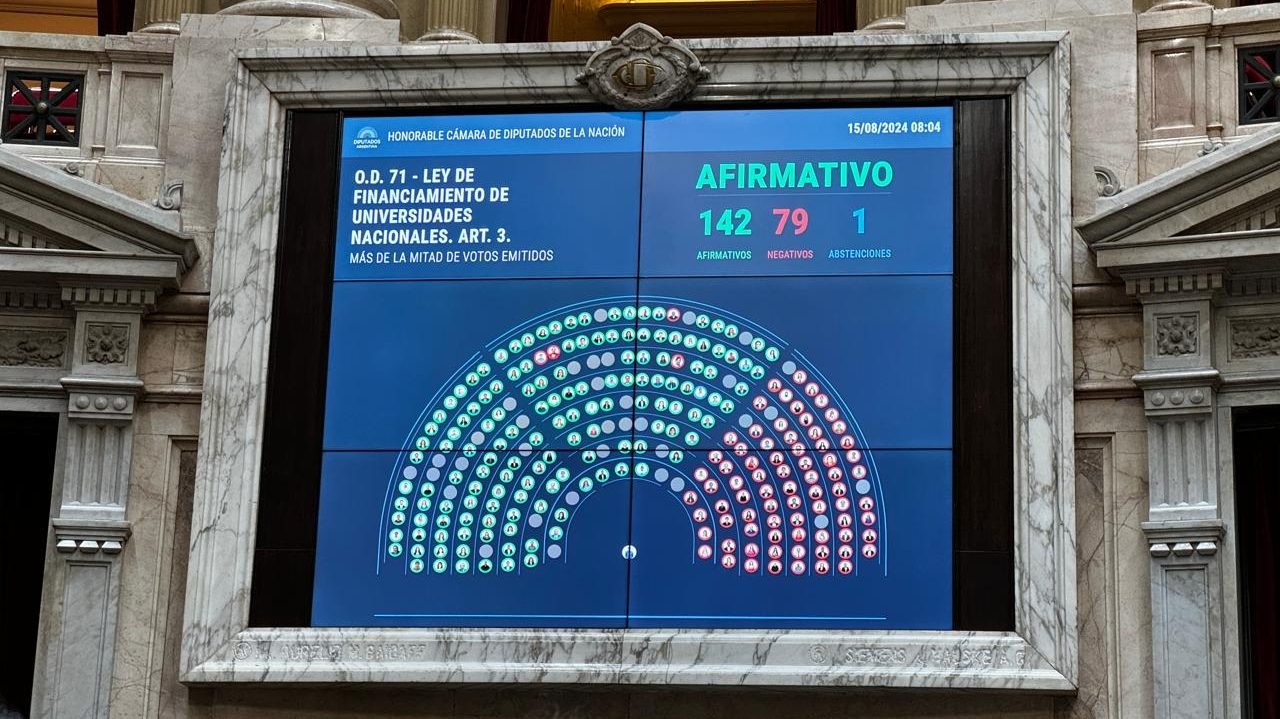 La media sanción a la Ley de Financiamiento Universitario, es un triunfo (foto 2)