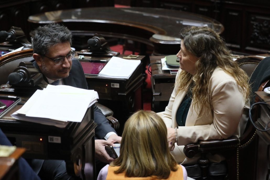 La media sanción a la Ley de Financiamiento Universitario, es un triunfo (foto 3)
