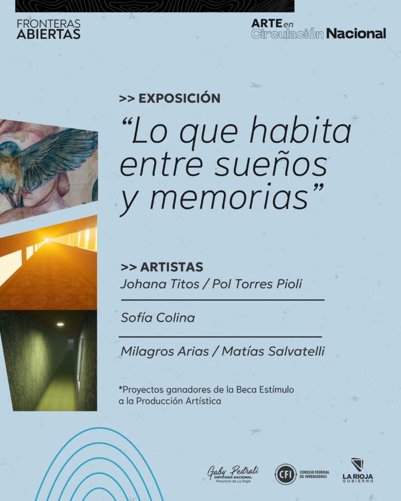 FRONTERAS ABIERTAS INAUGURA NUEVA MUESTRA DE ARTE RIOJANO EN BS AS (foto 2)