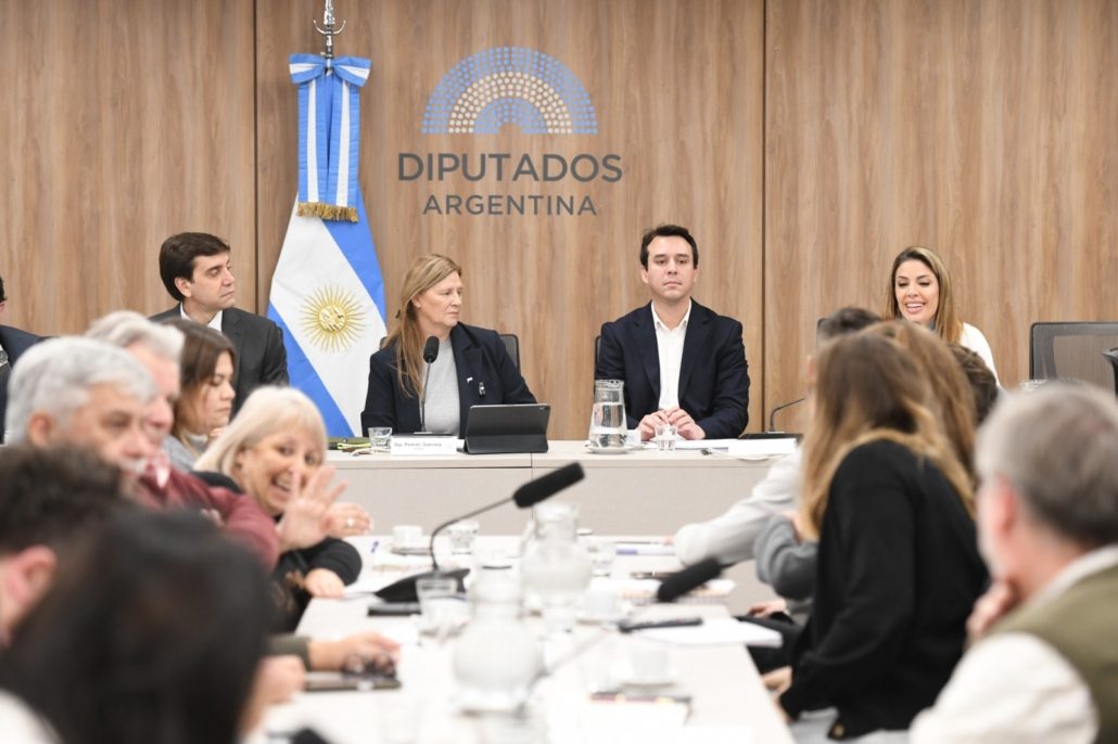 “EL CONGRESO DEBE SER LA CAJA DE RESONANCIA DE LO QUE SUCEDE EN EL TURISMO ARGENTINO”