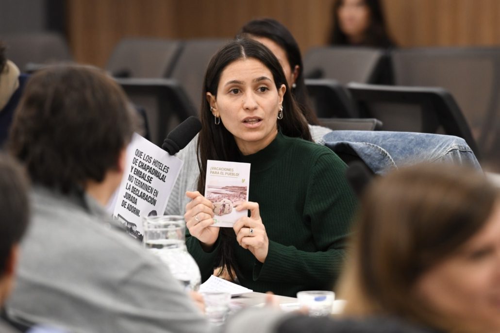 “EL CONGRESO DEBE SER LA CAJA DE RESONANCIA DE LO QUE SUCEDE EN EL TURISMO ARGENTINO” (foto 5)
