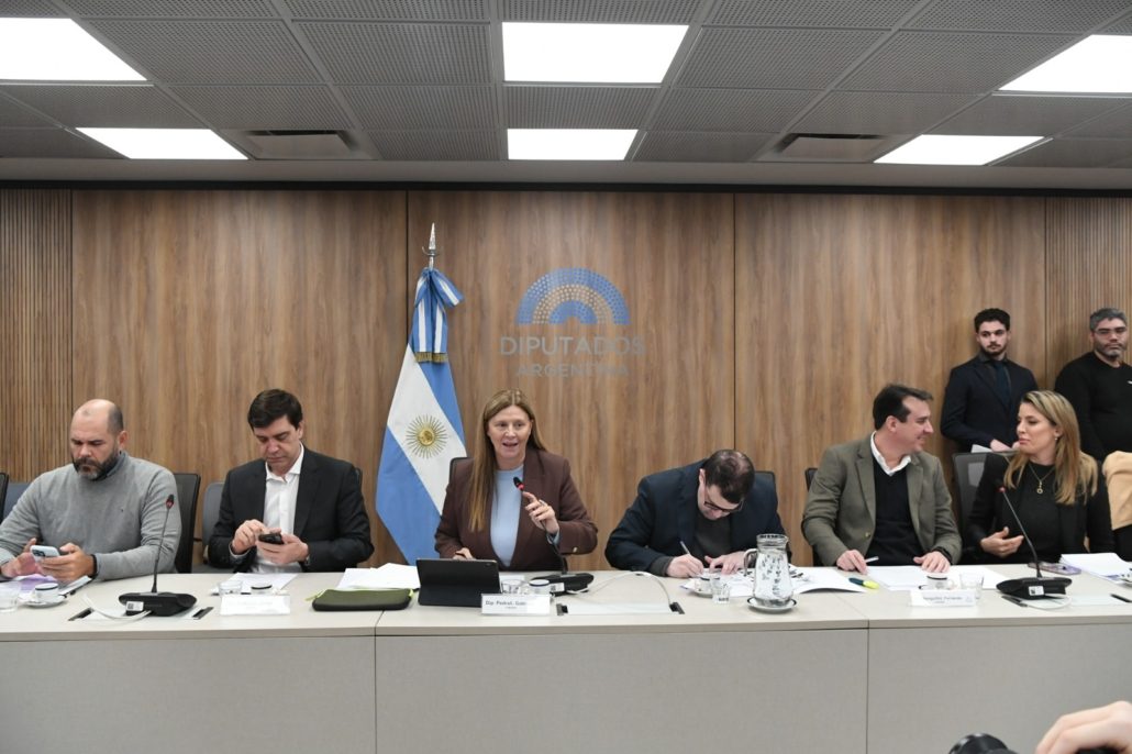 Pedrali destacó el trabajo federal de la Comisión de Turismo