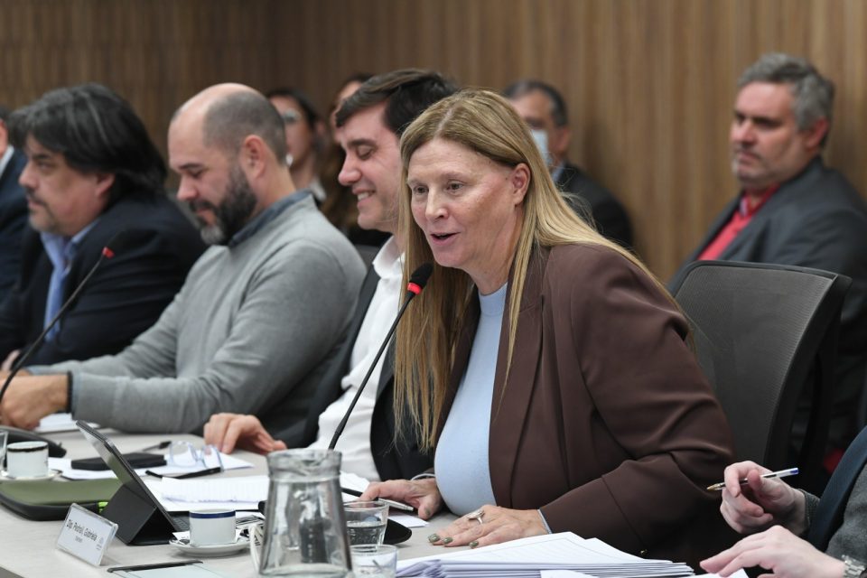 Pedrali destacó el trabajo federal de la Comisión de Turismo